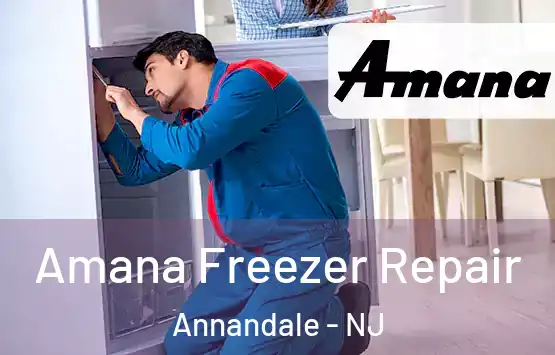  Amana Freezer Repair Annandale - NJ