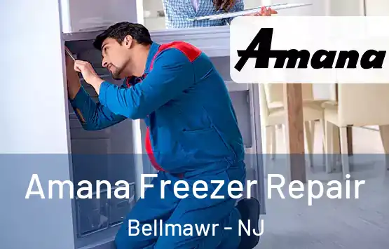  Amana Freezer Repair Bellmawr - NJ
