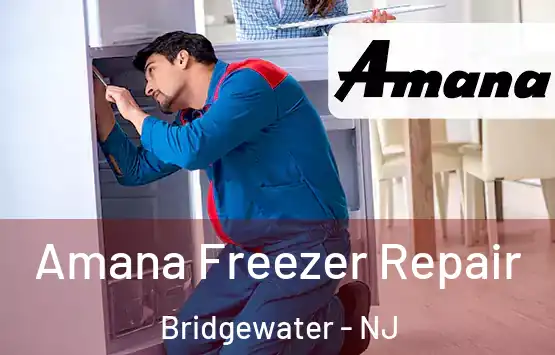  Amana Freezer Repair Bridgewater - NJ