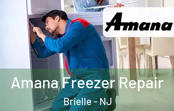  Amana Freezer Repair Brielle - NJ