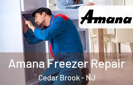  Amana Freezer Repair Cedar Brook - NJ