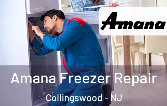  Amana Freezer Repair Collingswood - NJ