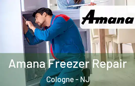  Amana Freezer Repair Cologne - NJ