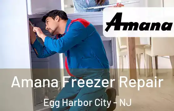  Amana Freezer Repair Egg Harbor City - NJ
