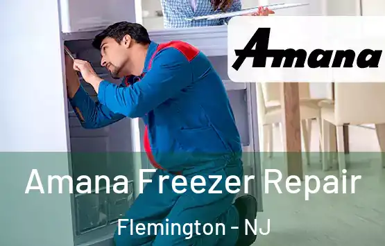  Amana Freezer Repair Flemington - NJ