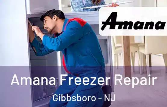  Amana Freezer Repair Gibbsboro - NJ