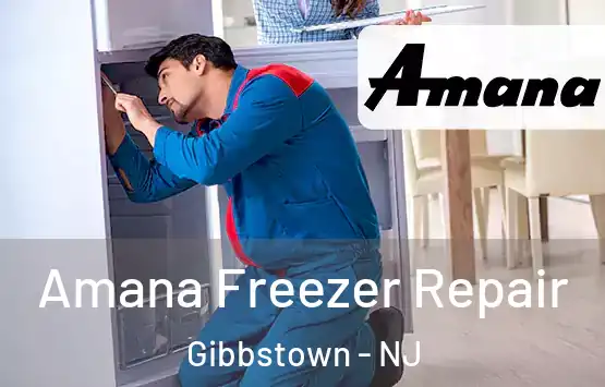  Amana Freezer Repair Gibbstown - NJ