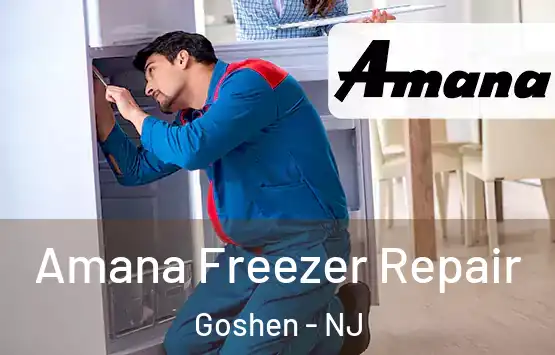  Amana Freezer Repair Goshen - NJ