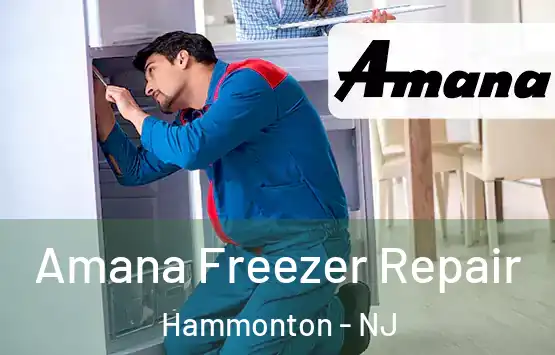  Amana Freezer Repair Hammonton - NJ
