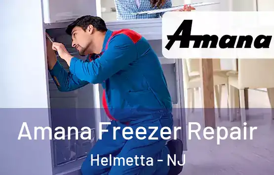 Amana Freezer Repair Helmetta - NJ