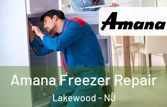  Amana Freezer Repair Lakewood - NJ