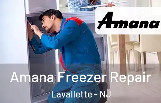  Amana Freezer Repair Lavallette - NJ