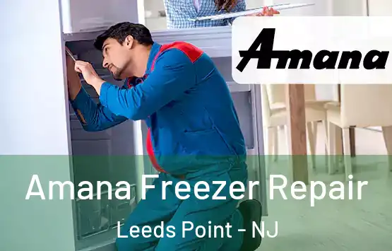  Amana Freezer Repair Leeds Point - NJ