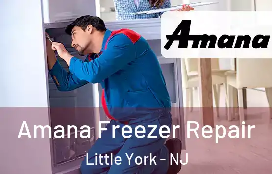  Amana Freezer Repair Little York - NJ