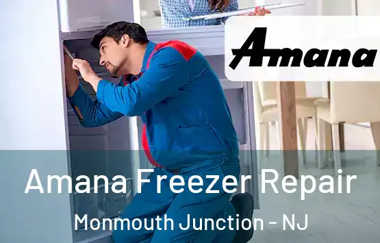  Amana Freezer Repair Monmouth Junction - NJ