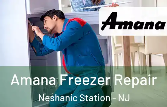  Amana Freezer Repair Neshanic Station - NJ