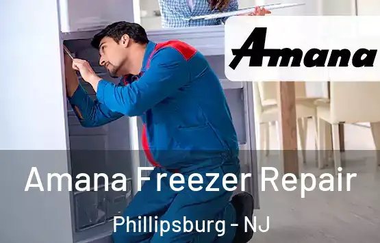  Amana Freezer Repair Phillipsburg - NJ