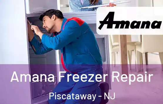  Amana Freezer Repair Piscataway - NJ
