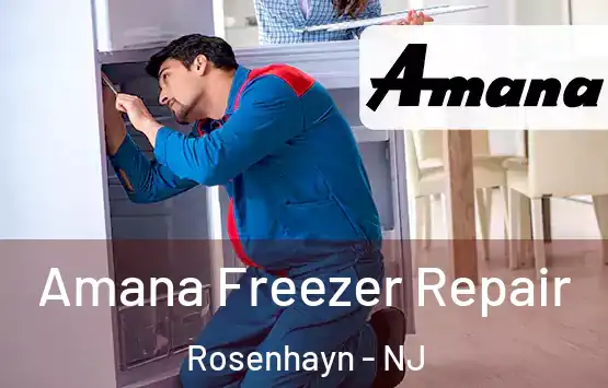  Amana Freezer Repair Rosenhayn - NJ
