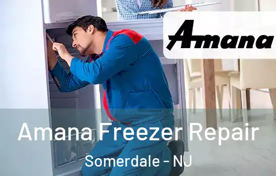  Amana Freezer Repair Somerdale - NJ