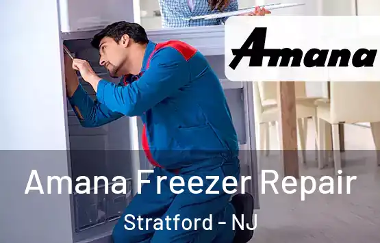  Amana Freezer Repair Stratford - NJ