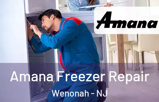  Amana Freezer Repair Wenonah - NJ