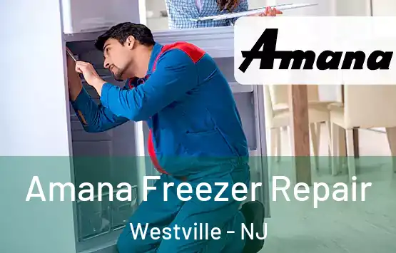  Amana Freezer Repair Westville - NJ