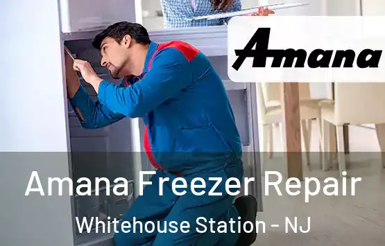  Amana Freezer Repair Whitehouse Station - NJ