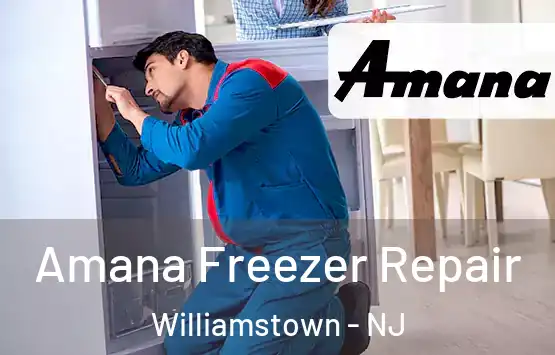 Amana Freezer Repair Williamstown - NJ