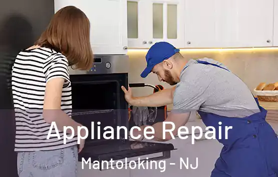 Appliance Repair Mantoloking - NJ