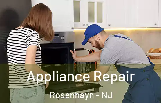  Appliance Repair Rosenhayn - NJ