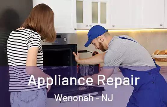  Appliance Repair Wenonah - NJ