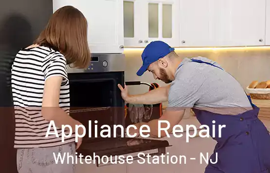  Appliance Repair Whitehouse Station - NJ