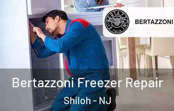  Bertazzoni Freezer Repair Shiloh - NJ