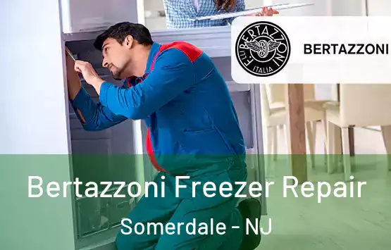  Bertazzoni Freezer Repair Somerdale - NJ
