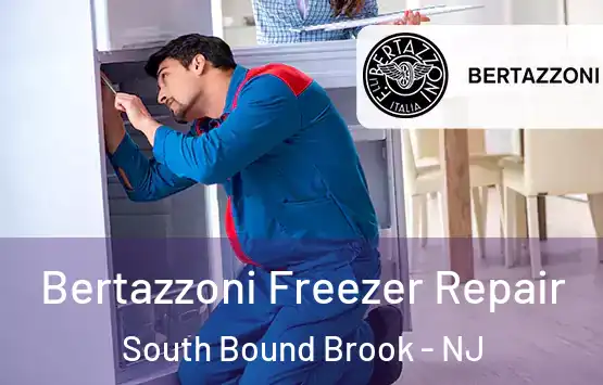  Bertazzoni Freezer Repair South Bound Brook - NJ
