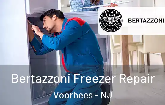  Bertazzoni Freezer Repair Voorhees - NJ