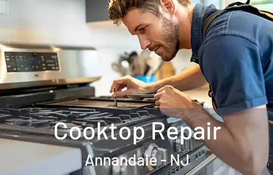 Cooktop Repair Annandale - NJ