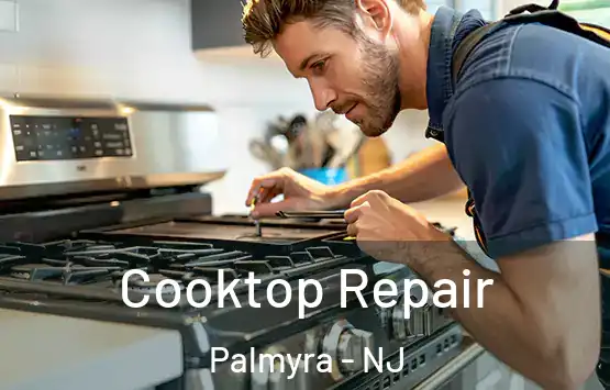 Cooktop Repair Palmyra - NJ