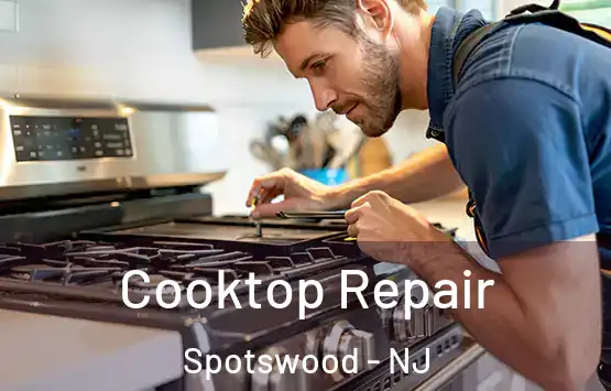  Cooktop Repair Spotswood - NJ