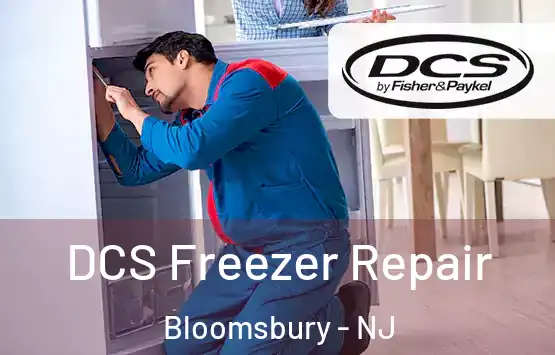  DCS Freezer Repair Bloomsbury - NJ