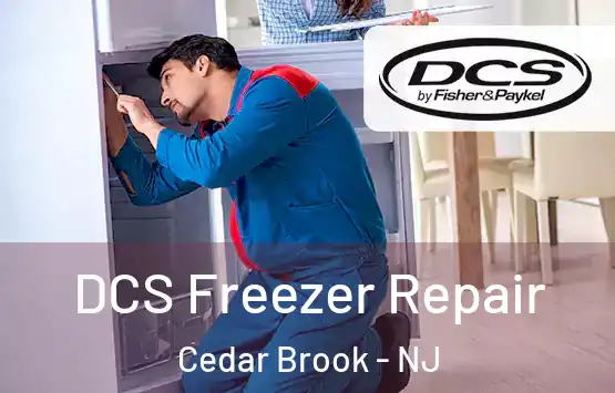  DCS Freezer Repair Cedar Brook - NJ
