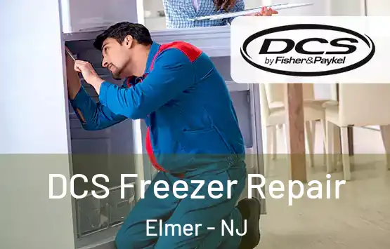  DCS Freezer Repair Elmer - NJ