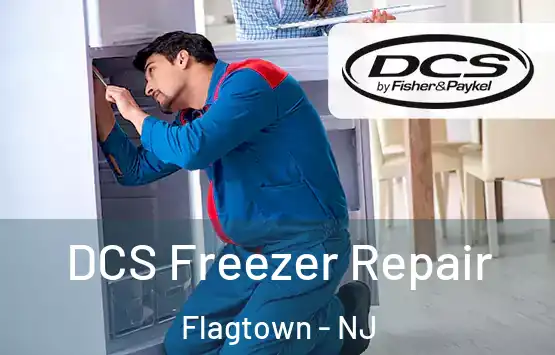  DCS Freezer Repair Flagtown - NJ