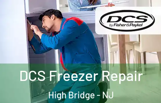  DCS Freezer Repair High Bridge - NJ