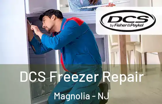  DCS Freezer Repair Magnolia - NJ