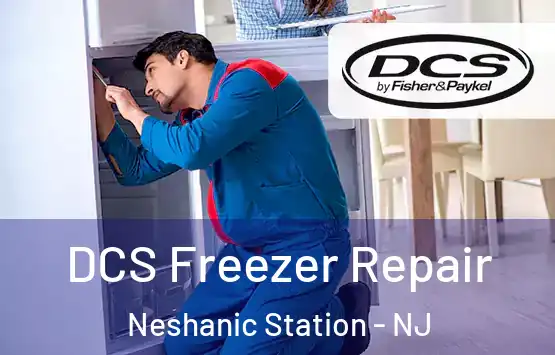  DCS Freezer Repair Neshanic Station - NJ
