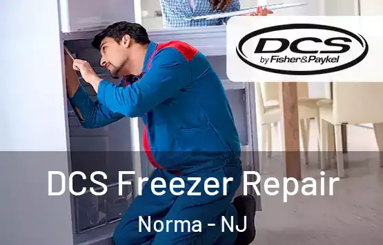  DCS Freezer Repair Norma - NJ