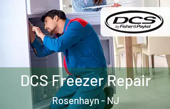  DCS Freezer Repair Rosenhayn - NJ