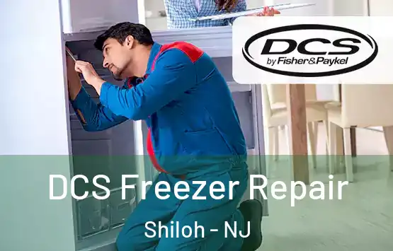  DCS Freezer Repair Shiloh - NJ